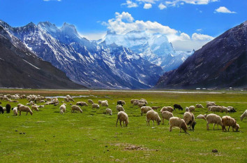 Ladakh - The Land of Enchanting Adventures: Top 5 Things to Do with Actual Adventures