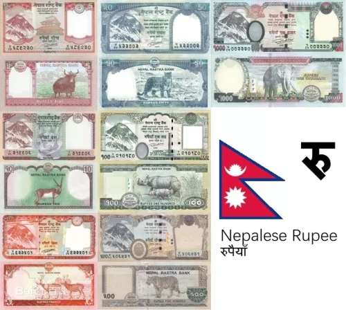 Nepali Currency: Complete Guide to Nepalese Rupee (NPR)