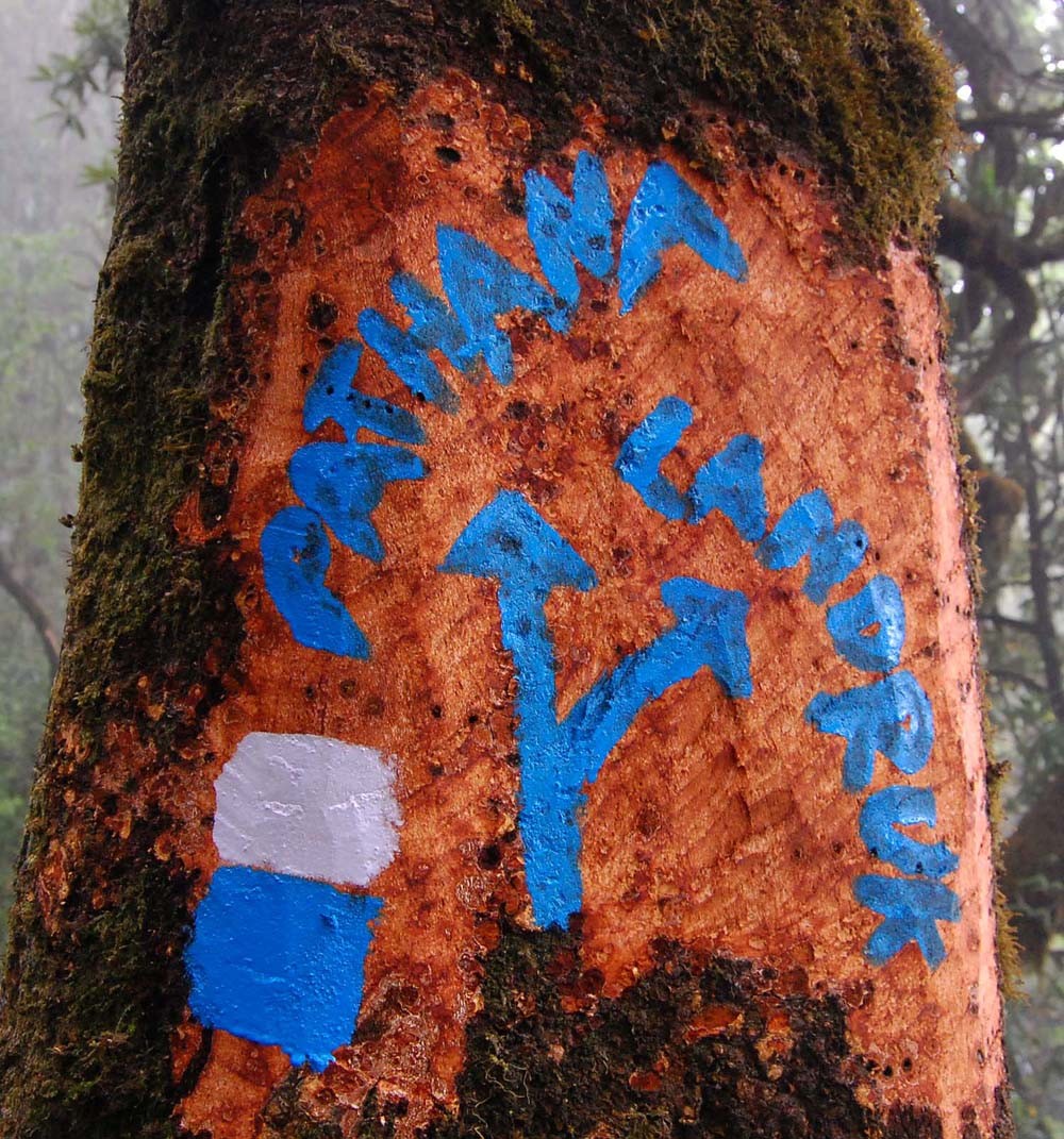 Book Annapurna NATT Trails