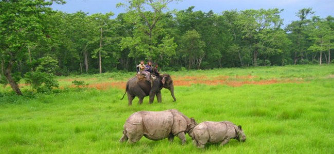 Chitwan Wildlife by Helicopter