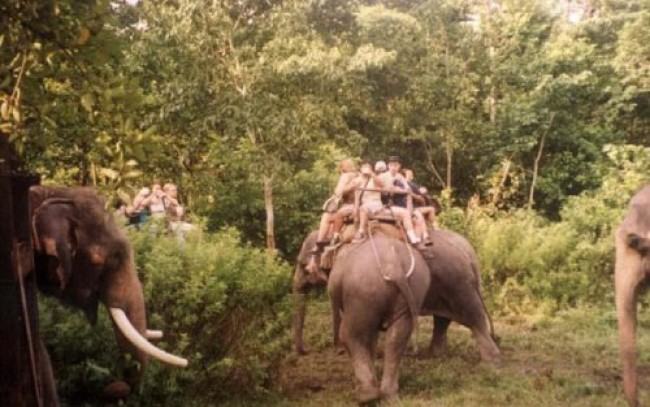 Royal Trek and Chitwan Jungle Safari